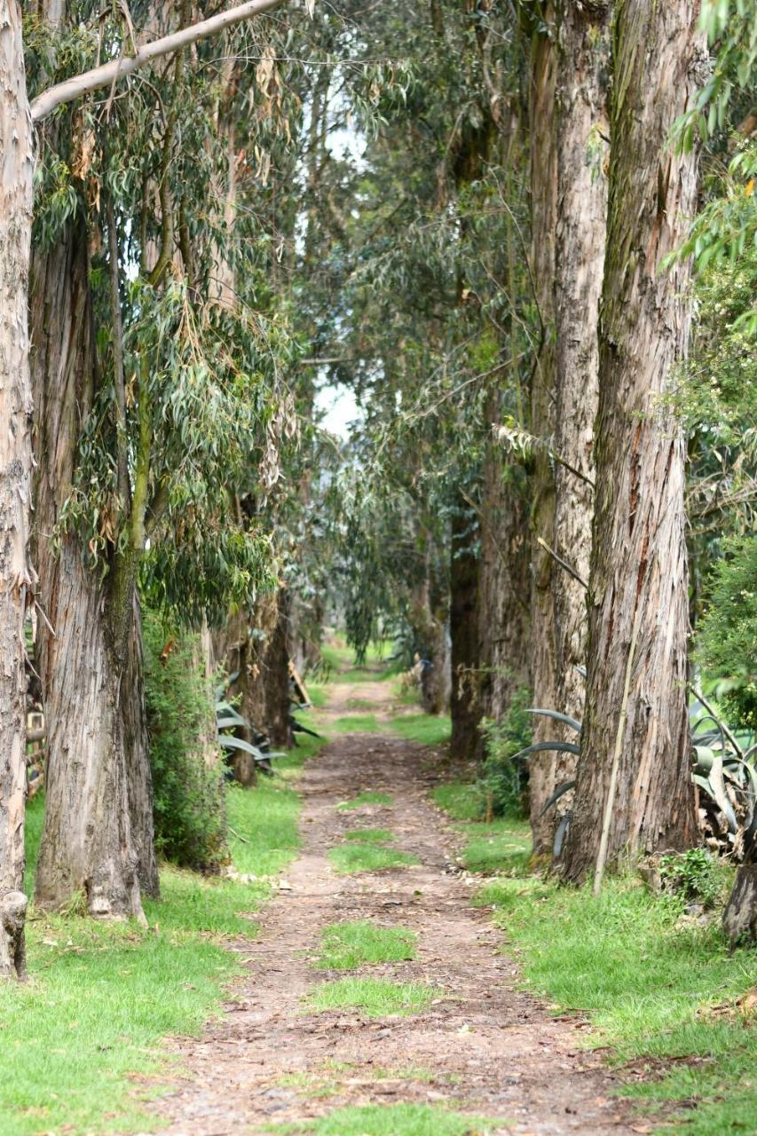 ホテル Hacienda La Carriona Sangolquí エクステリア 写真